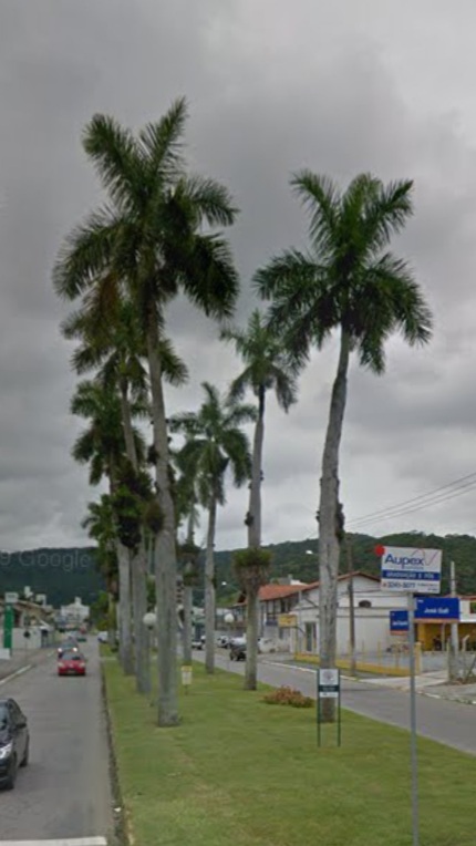  Googlemaps