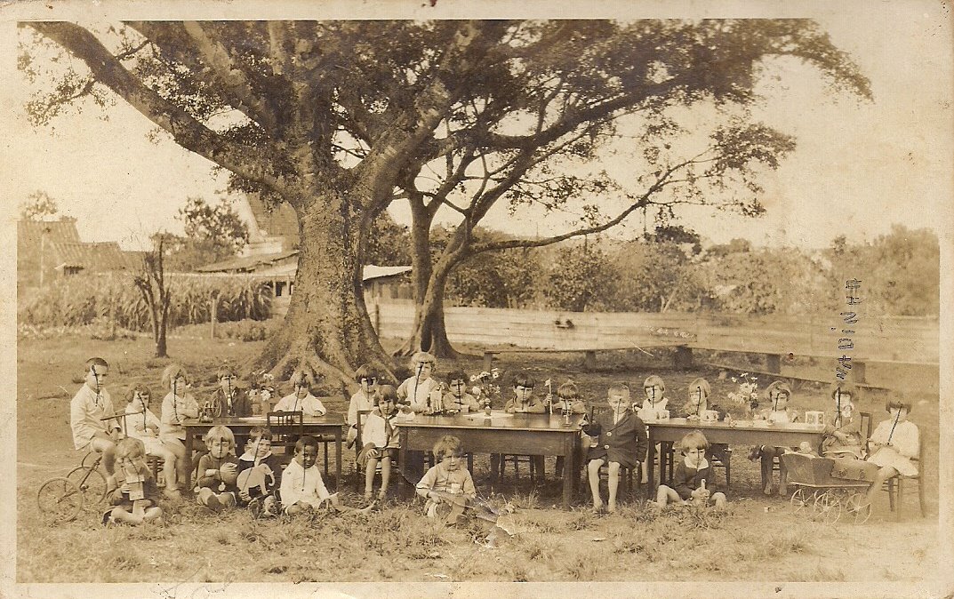 crianças sob figueiras - 1902 - CDMH -Arquvo Público de Itajaí