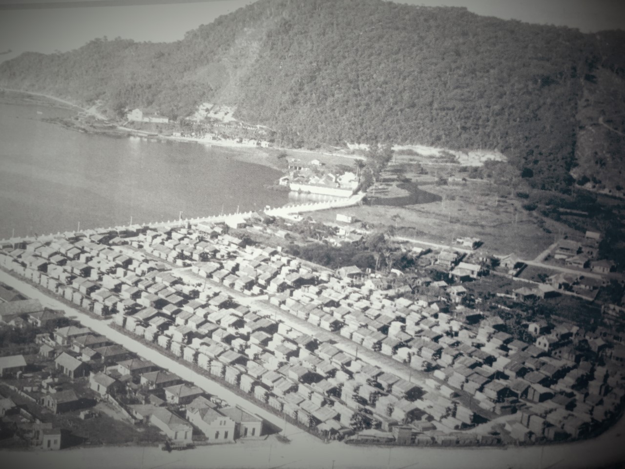 "Madeiras" - Bairro Fazenda com vista da baía Afonso Wippel (Saco da Fazenda) 1948  -CDMH - Arquivo Público de Itajaí
